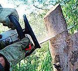 Best Tree and Shrub Care  in Granville South, OH